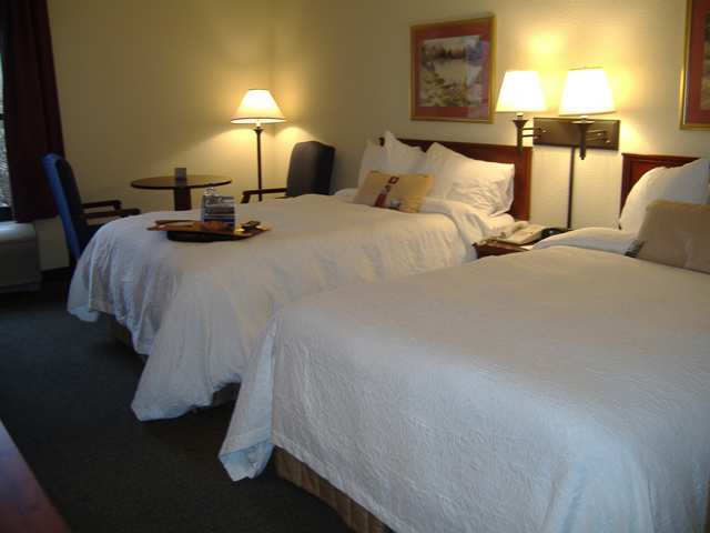 Wyndham Garden Greenville / Spartanburg Airport Quarto foto